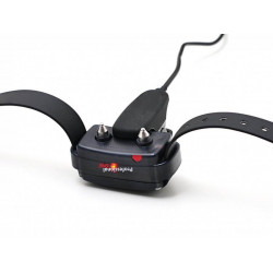 D-control professional ONE lisarihm