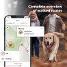 koerte gps teekondade äpi vaade