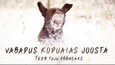 Eestikeelne tutvustusvideo